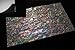 Prism Abalone Wide Enhanced Adhesive Veneer Sheet