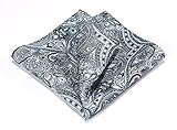 HISDERN Men's Paisley Pocket Square Handkerchief