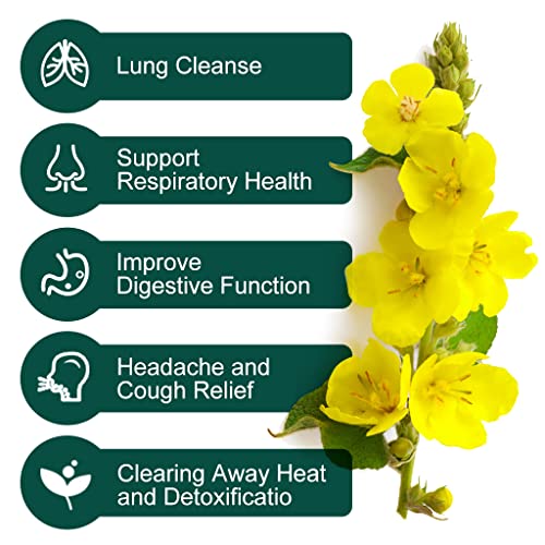 Mullein Leaf Tea Bags Lungs Cleanse and Respiratory Support, Mullein
