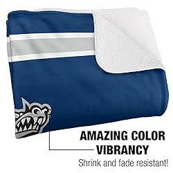 Western Washington University Primary Logo Stripes