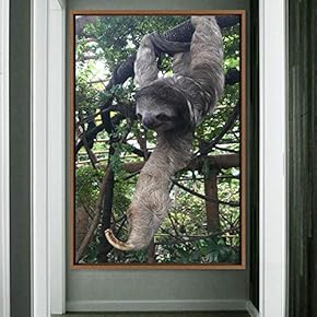 signwin Framed Canvas Wall Art Sloth Animals Expressive...