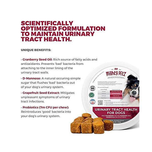Mighty Petz MAX Cranberry for Dog UTI Treatment Urinary Tract, Kidney