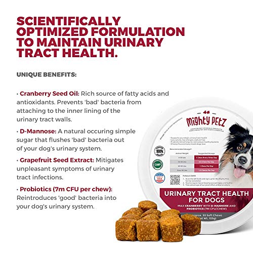 Mighty Petz MAX Cranberry for Dog UTI Treatment Urinary Tract, Kidney