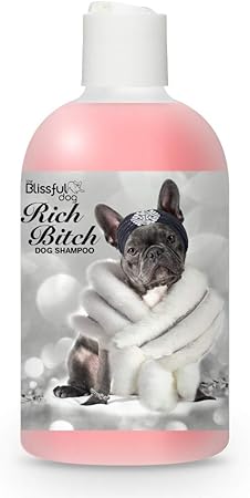 auto dog feeder with timer