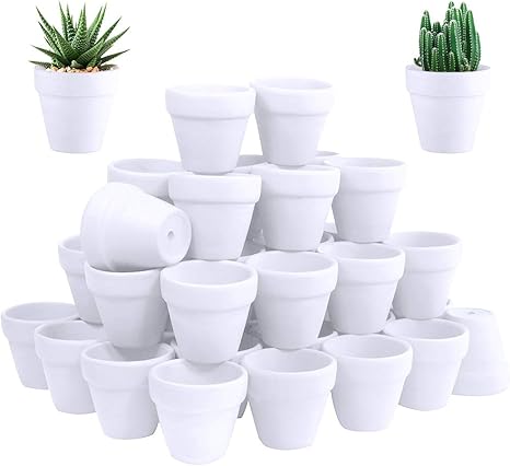 60 Pcs White Terra Cotta Pot - 2.5 Inch 