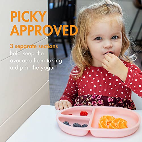Boon Chow Silicone Plate Set 3 Unbreakable Divided Toddler Plates Baby Plates for 6 Months