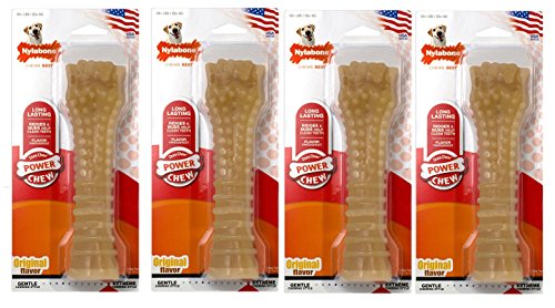 (4 Pack) Nylabone Dura Chew Textured Souper