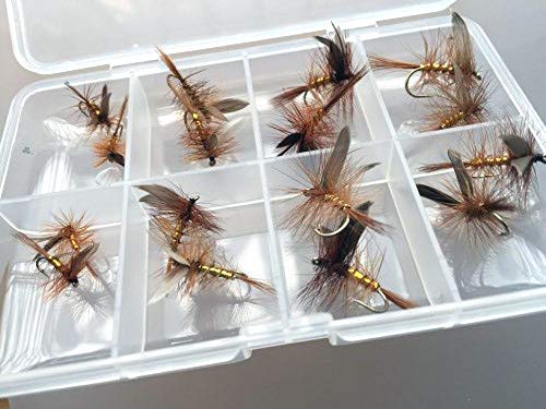 dry fly box