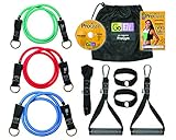 Ultimate Pro Gym Resistance Band Set by Go Fit
