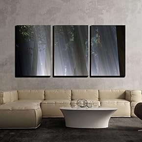 3 Piece Canvas Wall Art - Magic Forest 3D Artwork - Modern Home Art Stretched and Framed Ready to Hang - 16"x24"x3 Panels