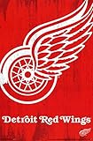 Detroit Red Wings Logo Poster 22 x 34in