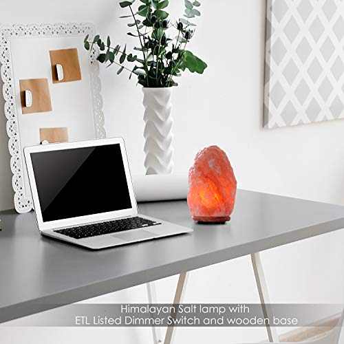 Himalayan Glow 1004 Hand Carved Natural Himalayan Salt lamp, 15-20 lbs
