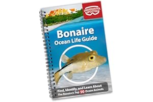 Bonaire Ocean Life Guide, Underwater Spotter Fish Identification Book For Scuba Divers, Snorkelers and Kids, 50 Fish Species and Marine Animals Scavenger Hunt for Beginners