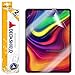 DeltaShield Screen Protector for Apple iPad Pro 11 (2018)(2-Pack) Anti-Bubble Military-Grade Clear TPU Film