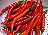 Long Thin Cayenne Pepper Plants - Hot! - 4 Plants