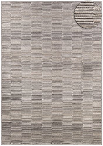 Couristan Cape Fayston/Silver-Charcoal, Indoor/Outdoor Area Rug (2' x), 2' x 3'7", Silver/Charcoal