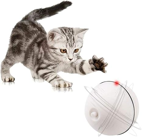 robot bug cat toy