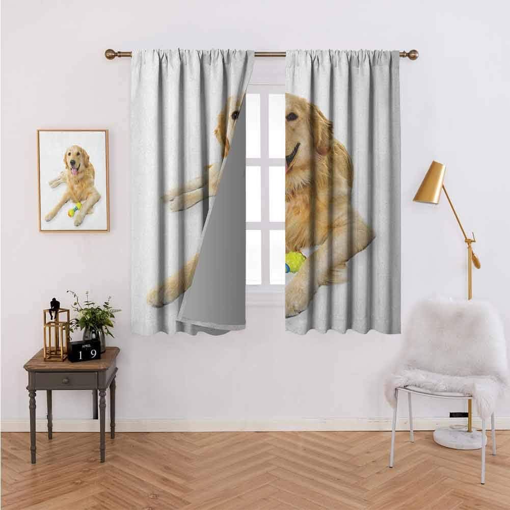 Decor Curtains Pet Dog Laying Down with Toy Friendly