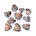 Oyster Pearl Wholesale Freshwater Cultured Pearl Inside Oyster with Necklace Oyster Pearl Bulk Love Wish Pearl for Jewelry Making with 6.5-7.5mm Round Pearls Inside (10 PCS/lot)