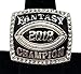 Decade Awards 2018 Silver Fantasy Football Champion Ring with Rhinestone Border | Heavy FFL League Champ Ring with Stand