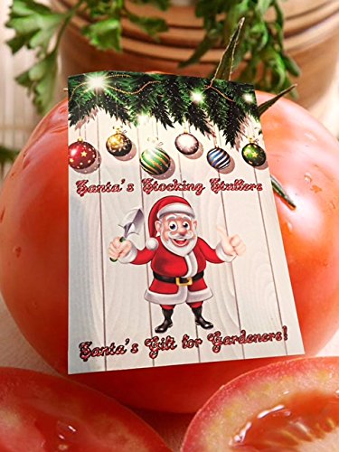Homegrown Tomato Seeds, 300, Better Boy Tomato