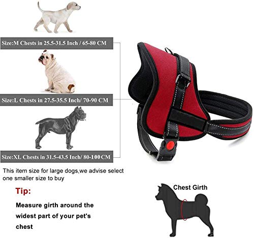 lifepul easy harness