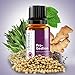 Elementa Essentials Pro-gestion Essential Oil Blend For Digestion and Soothes Upset Stomach