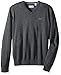 Lacoste Men's Cotton Jersey V-Neck Sweater, Navy Blue Moline, Large