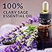 SenseLAB Clary Sage Essential Oil - Relaxation - 100% Pure Extract Therapeutic Grade Clary Sage Oil for Aromatherapy Diffuser (10 ml)