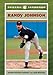 Randy Johnson (Baseball Superstars)