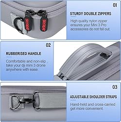 SKYREAT Mini 4 Pro RC 2 Case, Portable PU Leather