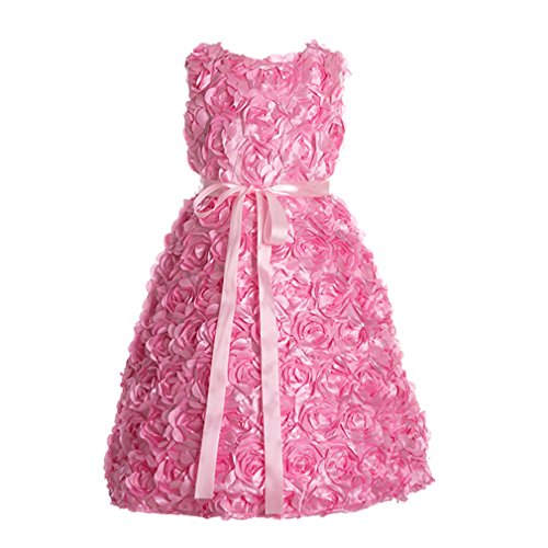 Molfroa Girls Baby Girls Darling Rosette Flower Girl Dress Evening |  Desertcart Fiji