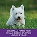 Wellness Natural Pet Food Complete Health Natural Dry Small Breed Puppy Food, Turkey, Salmon & Oatmeal, 12-Pound Bag