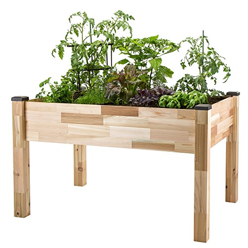 Wheelchair Accessible Raised Garden Beds Graying With Grace