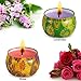 AMASKY Scented Candle, Aromatherapy Candle Rustic Home Decor for Stress Relief,Weddings,Christmas Gift, Made of Natural Soy Wax,Fresh & Elegant Blend Fragrances in Stages (4.5 oz)
