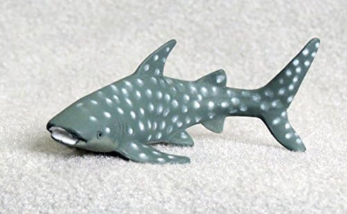 plastic shark toy
