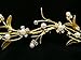Rhinestone Crystal Pearl Flower Tiara Bridal Wedding Hair Comb - Gold Plated Clear Crystals T261