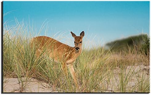 SHBO ART Unframed Canvas Wall Art dune deer animal Landscape Painting Printed on Canvas Modern HD Home Decor for Home Living Room(10x16inch)
