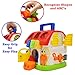 Musical Shape Educational Sorting Toy for Toddlers and Baby, First Blocks Cube Learning Sorter Shapes Activity House Box