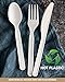 Ecoridge Disposable Compostable Cutlery Silverware Utensils Set - 380pc (140 forks, 120 spoons, 120 knives) - Eco Biodegradable Plastic Utensils Compostable Cutlery Heavy Duty Fork Spoon Knife Set