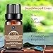 Sandalwood Essential Oil, Natural Aromatherapy Oils Therapeutic Grade Sandalwood Oil,10ml