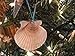 White Scallop Seashell Christmas Ornaments (Set of 10)