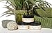 Organic Acne Spot Treatment with bentonite clay - THAT WORKS!!! - VEGAN