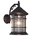 ETOPLIGHTING Bella Luce Collection Exterior Outdoor Wall Lantern, Oil Rubbed Rust Body Finish Clear Seeded Glass APL1016