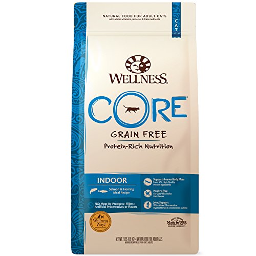 Wellness CORE Grain Free Dry Cat Food, Original Recipe, Turkey, Turkey