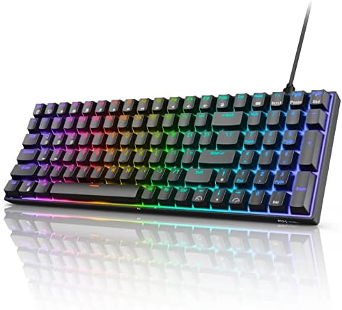 RK ROYAL KLUDGE RK100 2.4G Wireless 