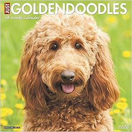 willow goldendoodles