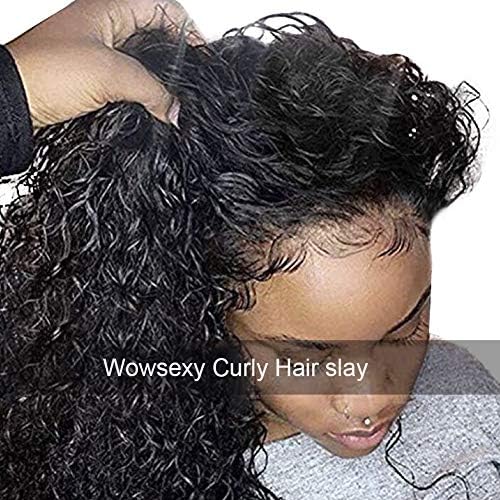 Wowsexy Hair Brazilian Virgin Hair Remy Wigs Curly Lace Front Wigs Human Hair with Baby Hair for Black Women African Americans Wigs Pre Plucked Hairline (20 inch, 130% Full Lace Wig)