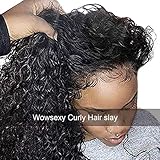 Wowsexy Hair Brazilian Virgin Hair Remy Wigs Curly Lace Front Wigs Human Hair with Baby Hair for Black Women African Americans Wigs Pre Plucked Hairline