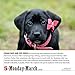365 Dogs Page-A-Day Calendar 2018